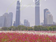 -海心沙亚运公园