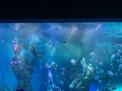 -波塞冬海底世界
