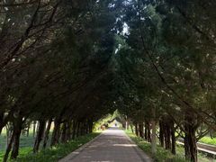 -洛阳市隋唐城遗址植物园