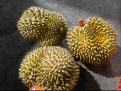 -禾富水果批发市场