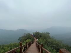 -大岭沟猕猴桃谷风景区