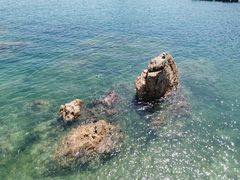 -大连老虎滩海洋公园