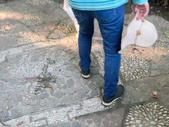 -汇龙潭