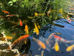 -三亚亚龙湾五号度假别墅酒店