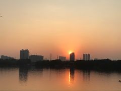 -海珠湖公园