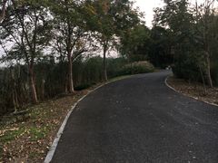 -梁鸿国家湿地公园