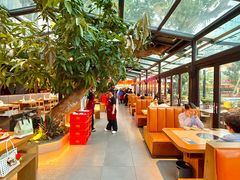 -海岛八号龙虾烧烤田鸡(蓝天路总店)