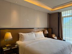 -成都安仁福朋喜来登酒店