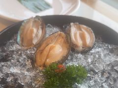 -蚝大仙横琴生蚝火锅(日月贝店)