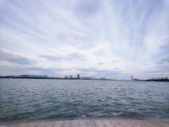 -长广溪湿地公园