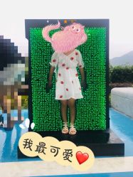 -恐龙探索乐园(磁器口店)