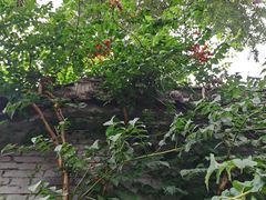 -碑林公园