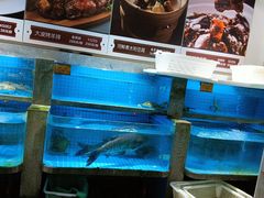 水产区-梦都海鲜酒家(万达广场江桥店)