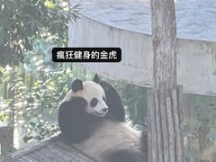 -大连森林动物园