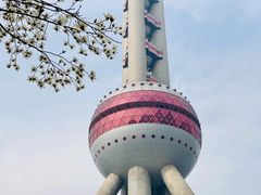 -普朗姆生蚝吧(原建国路店)