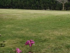 -南沙蒲洲花园