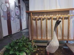 -醉霖生态餐厅(交大店)