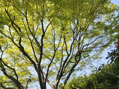 -杭州城北体育公园