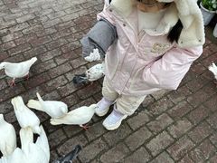 -美心红酒小镇游乐园