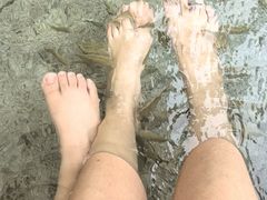 -碧水湾温泉