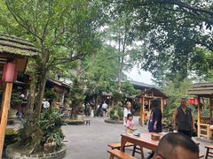 -青城甲(青城山店)