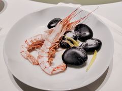 -广舟(千禧店)