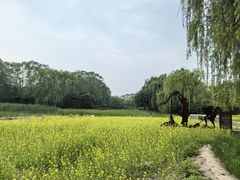 -北坞公园