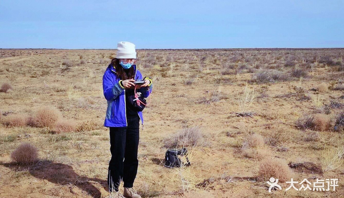 蚂蚁森林小树苗我来啦[调皮]