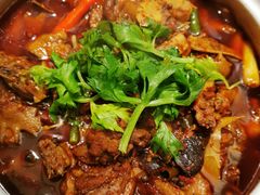-先机泉水鸡汤(南山老君洞店)