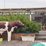 温馨甜蜜的农场体验[胜利]