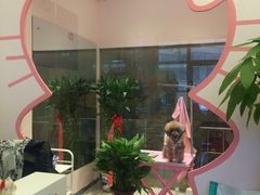 店内环境-樱桃家的宠物店(君安花园店)