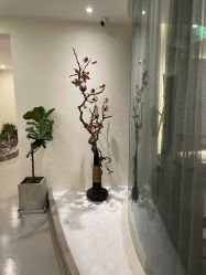 -康颜SPA自然疗愈皮肤管理中心