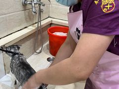 -暖阳宠物医院·犬猫康复中心·骨科