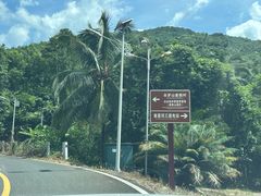 -海南热带雨林国家公园吊罗山景区