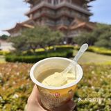 在宝莲寺吃到了这一口！跟普通的酸奶真不一样