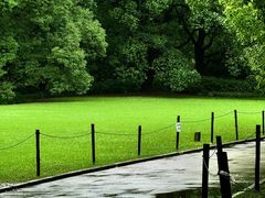 -上海共青森林公园