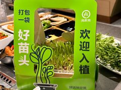 -海底捞火锅(CBD安泰广场店)