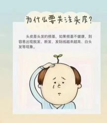 -木北造型