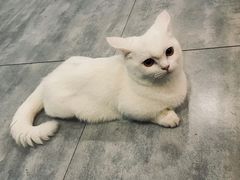 -有何Book(六堰体育馆店)