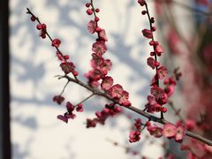 -盘门景区