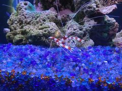 -海合安武汉极地海洋公园