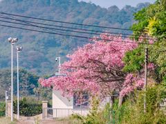 -风云岭森林公园