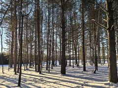 -北极村旅游风景区