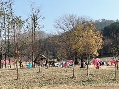 -黄陂区野村谷景区