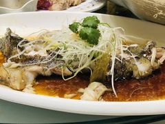 -骏莱海鲜鱼港(五角场店)