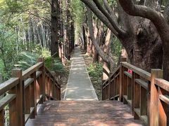 -同里国家湿地公园