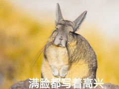 -MUJI无印良品(万科里店)