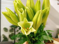 -森野花艺培训·企业团建活动沙龙