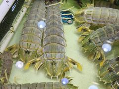 -强记海鲜·大排档(蛇口新街店)