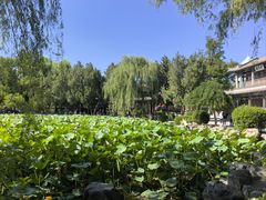 -莲池书院博物馆